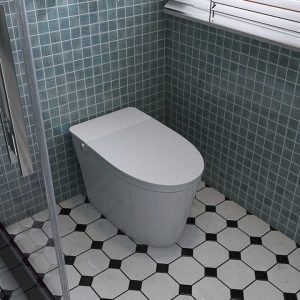 Foshan Intelligent Wc Smart Toilet Design Without Electricity